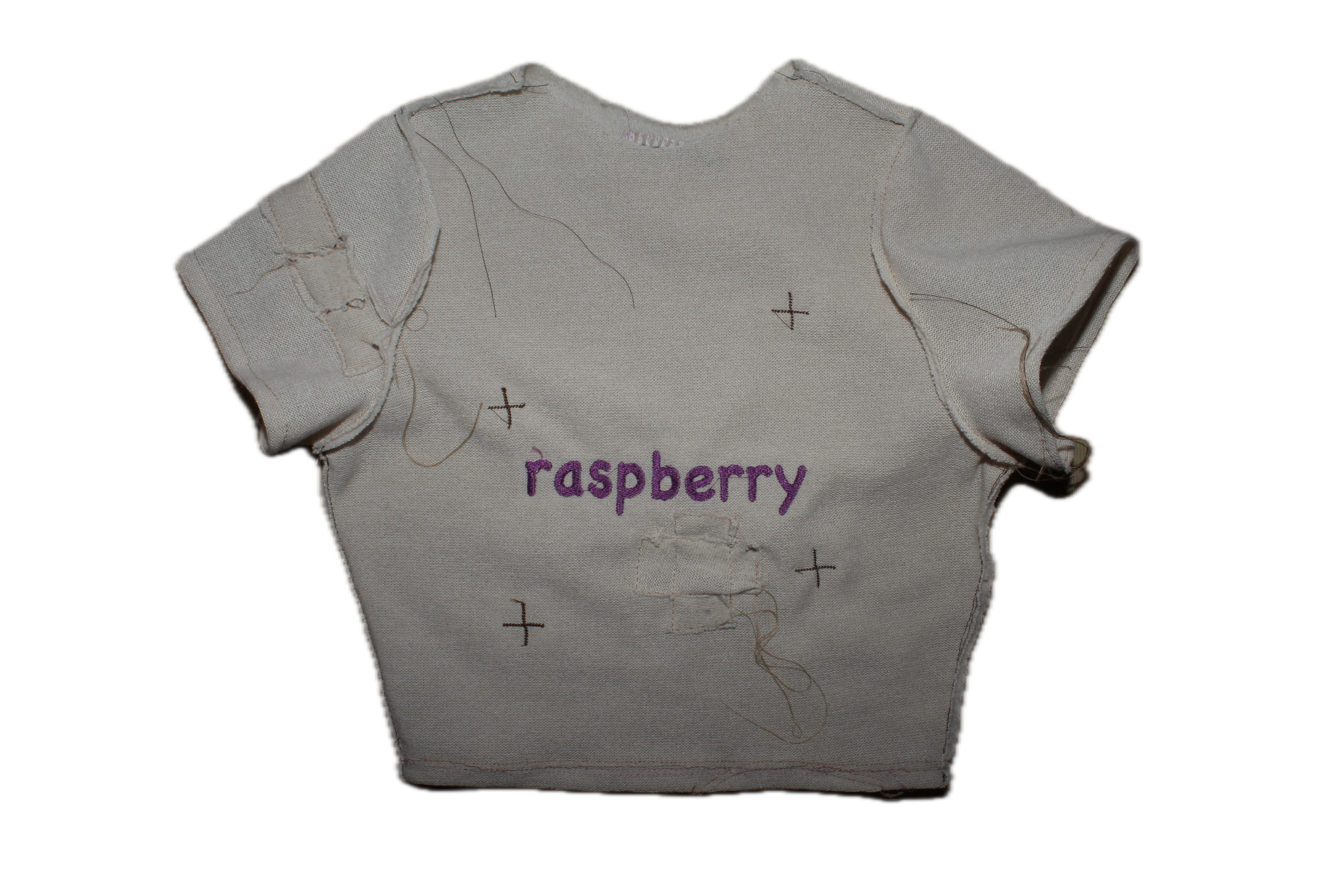 raspberry  .  top