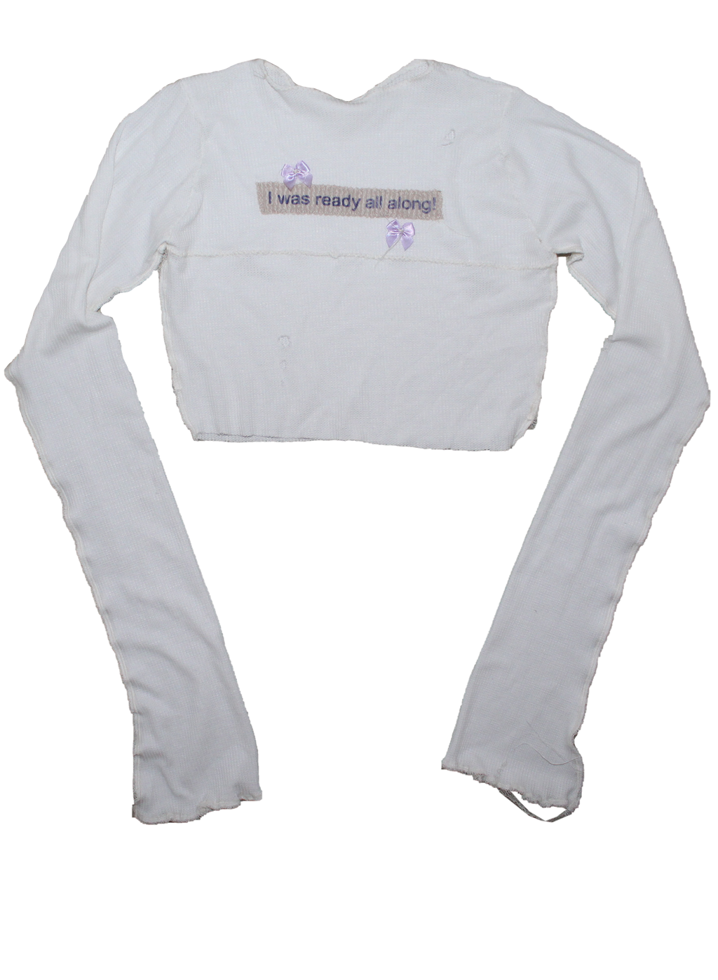 I was ready all along ! [[ Longsleeve // ]]