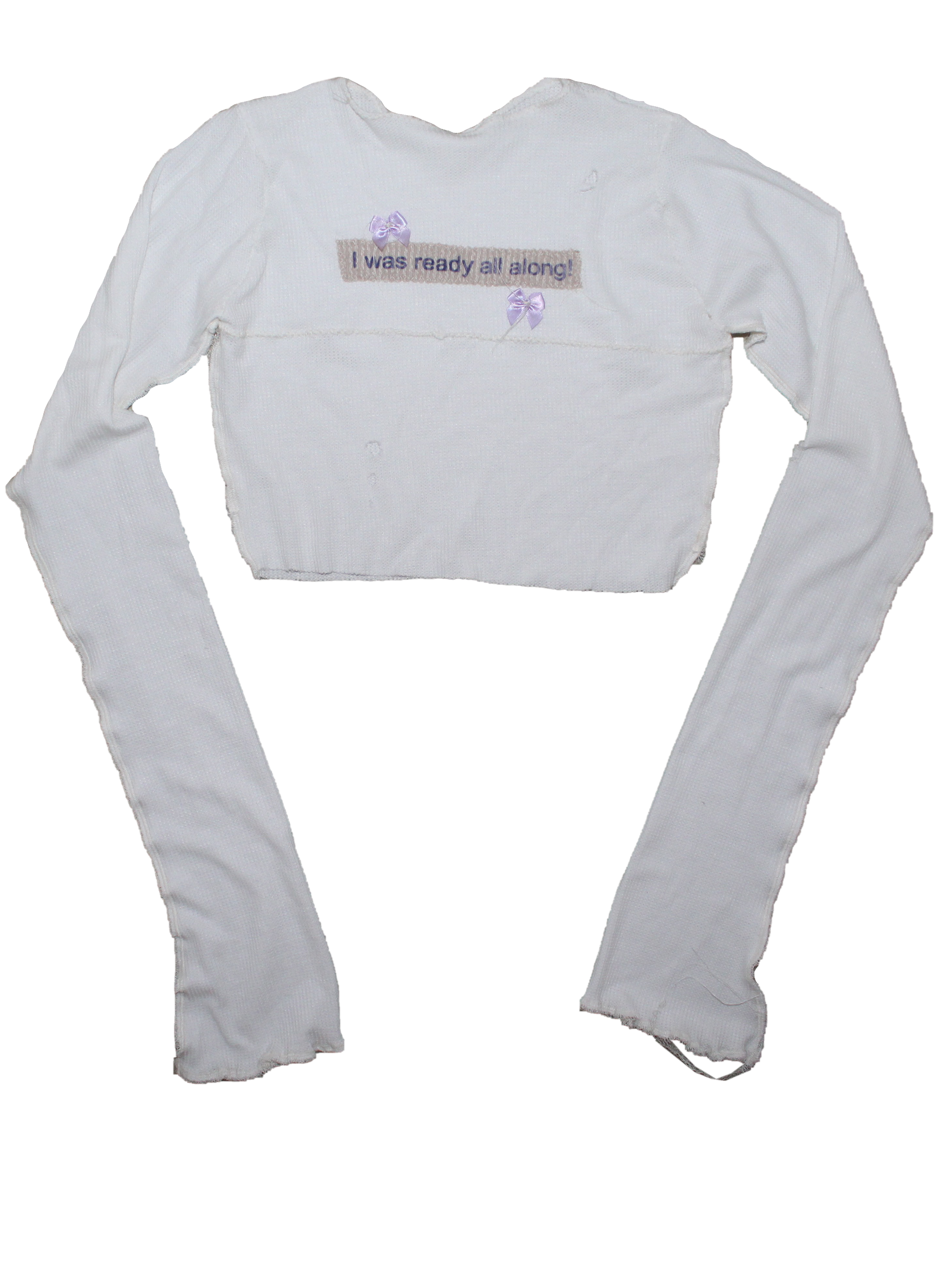 I was ready all along ! [[ Longsleeve // ]]