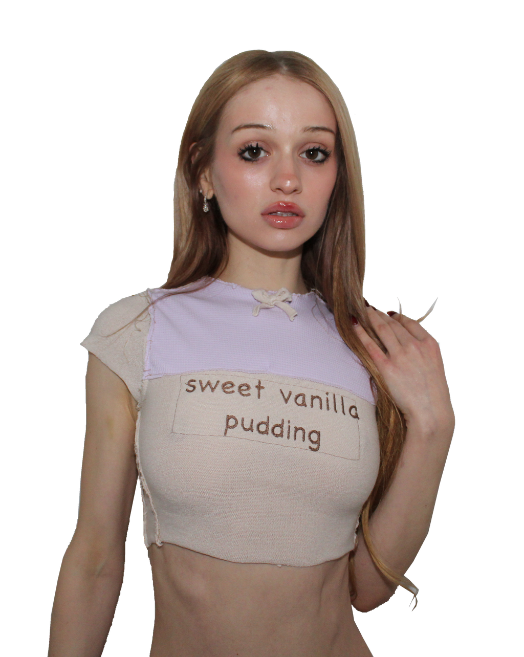 sweet .   vanilla . pudding top